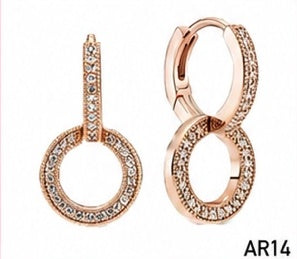 Aretes modelo AR14