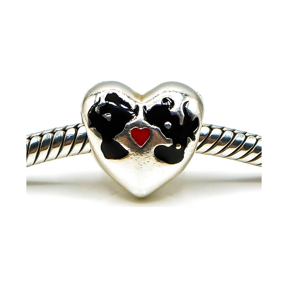Charm diseño 291