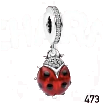 Charm diseño 473