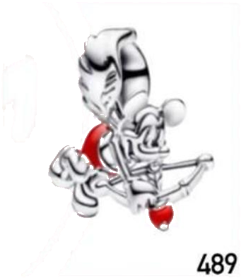 Charm diseño 489