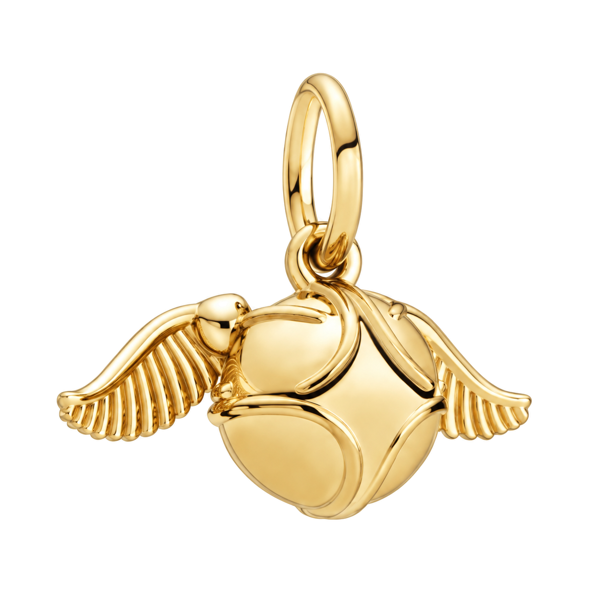 Charm diseño 585