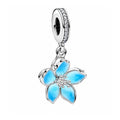 Charm diseño 638