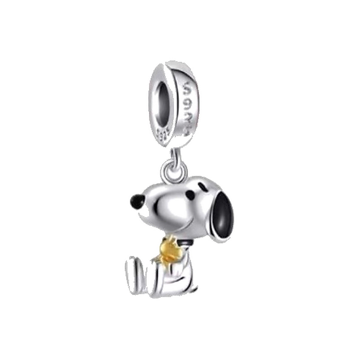 Charm diseño 641